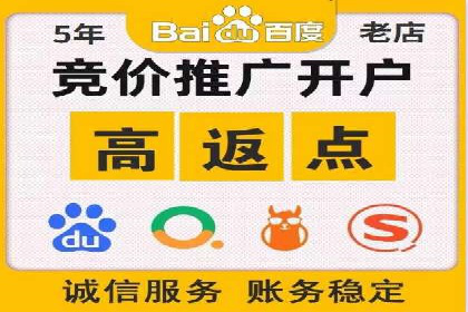 百度竞价公司运营策略：成功案例解析